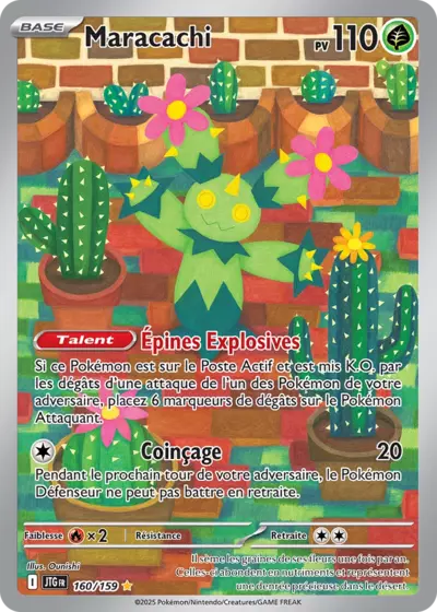 Maracachi 160/159