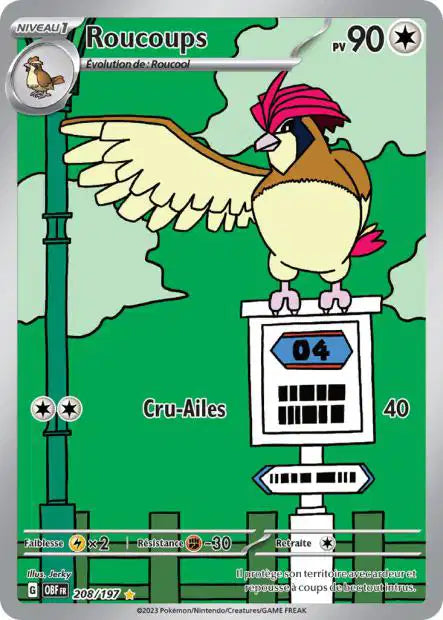 Roucoups 208/197