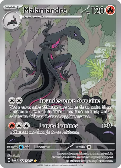 Malamandre 224/217