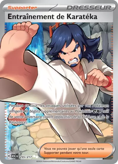 Entraînement de Karatéka 255/217